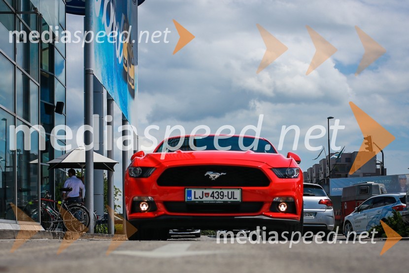 Ford MustangWILD WEST, dan odprtih vrat Summit avto