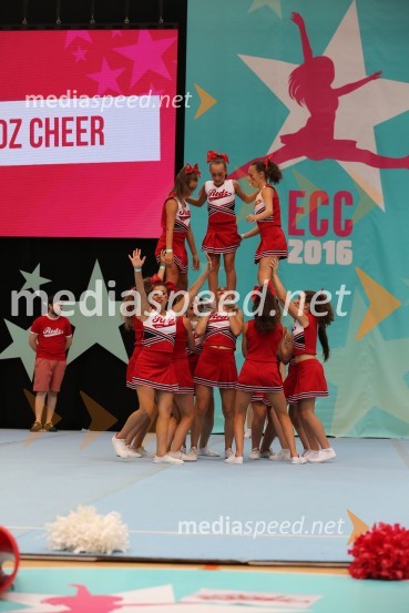 Redz Cheer