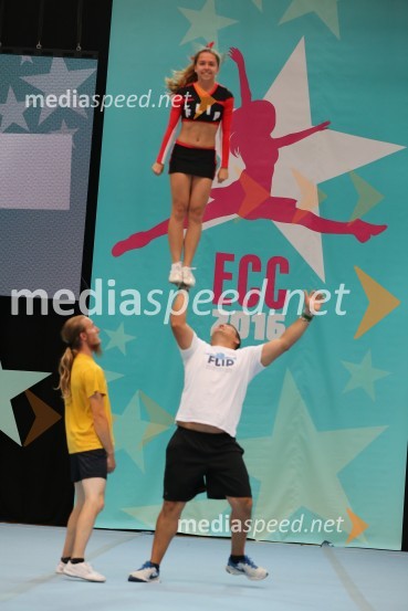 Flip, Sabadin and Alzirović