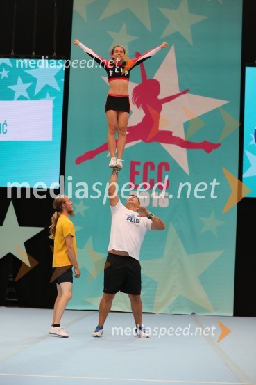 Flip, Sabadin and Alzirović