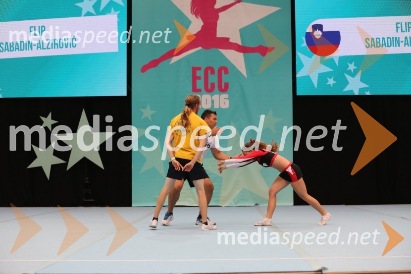 Flip, Sabadin and Alzirović