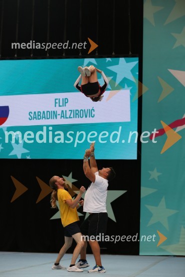 Flip, Sabadin and Alzirović