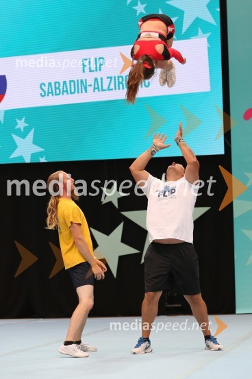 Flip, Sabadin and Alzirović