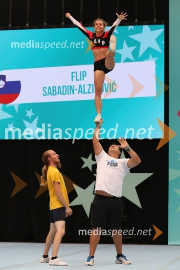 Flip, Sabadin and Alzirović