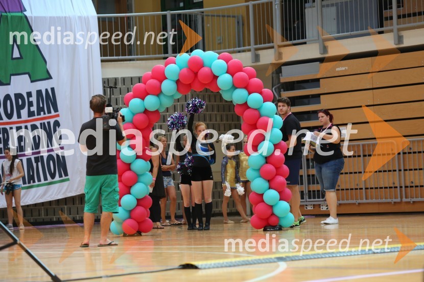 DIAMOND ICE, Whitwam - Alker