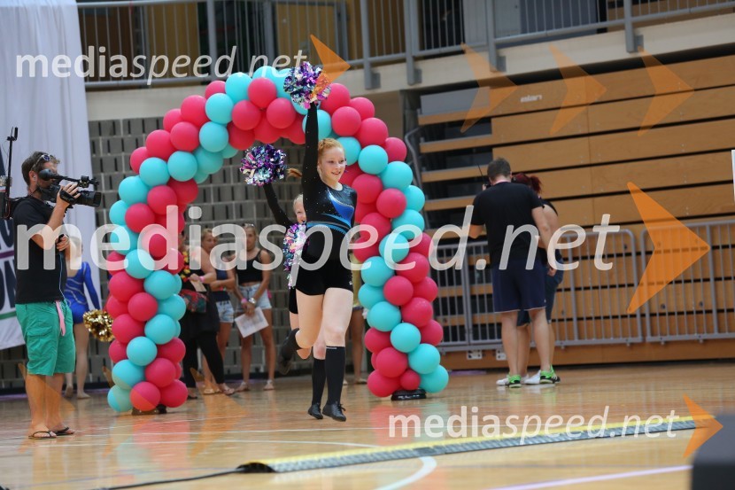 DIAMOND ICE, Whitwam - Alker