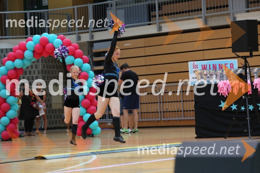 DIAMOND ICE, Whitwam - Alker