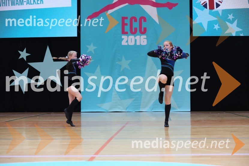 DIAMOND ICE, Whitwam - Alker