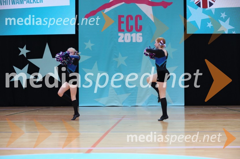 DIAMOND ICE, Whitwam - Alker