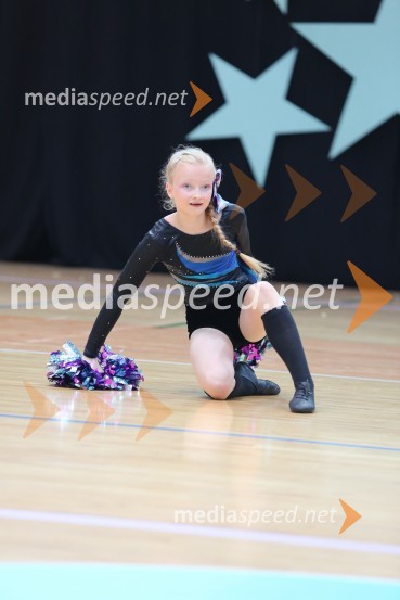 DIAMOND ICE, Whitwam - Alker