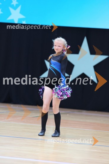 DIAMOND ICE, Whitwam - Alker