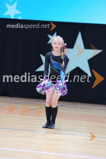 DIAMOND ICE, Whitwam - Alker