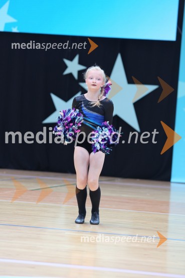 DIAMOND ICE, Whitwam - Alker