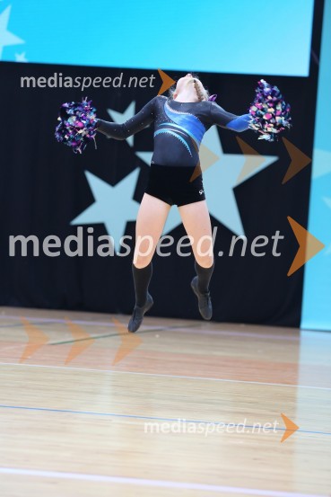 DIAMOND ICE, Whitwam - Alker