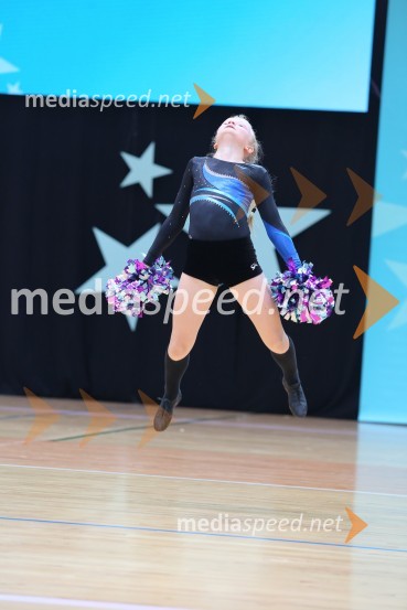 DIAMOND ICE, Whitwam - Alker