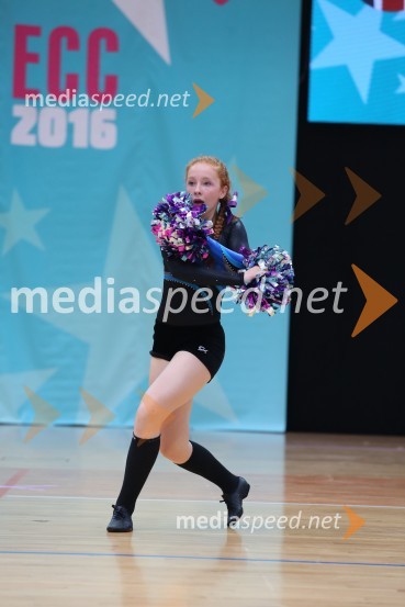 DIAMOND ICE, Whitwam - Alker