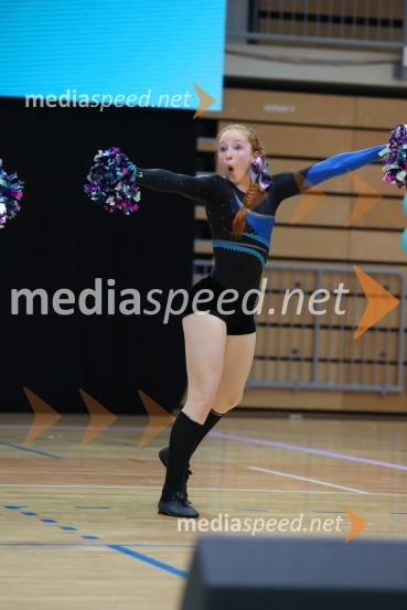 DIAMOND ICE, Whitwam - Alker