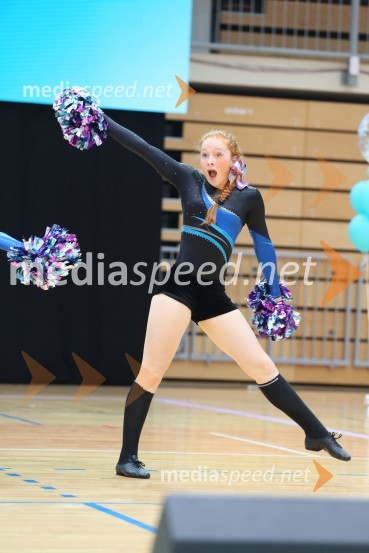 DIAMOND ICE, Whitwam - Alker