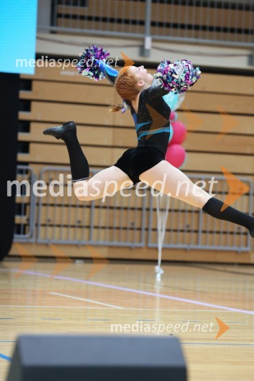 DIAMOND ICE, Whitwam - Alker