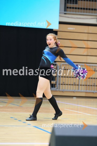 DIAMOND ICE, Whitwam - Alker