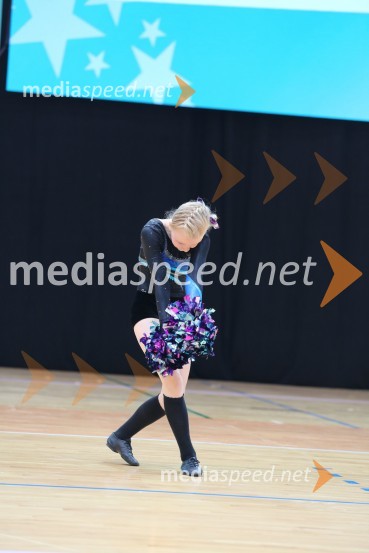 DIAMOND ICE, Whitwam - Alker