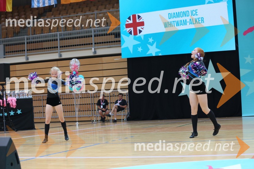 DIAMOND ICE, Whitwam - Alker