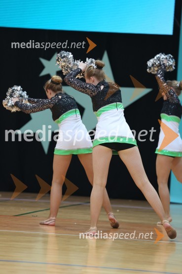 Silver Spirit Dancer