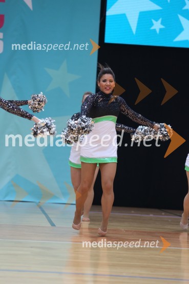 Silver Spirit Dancer