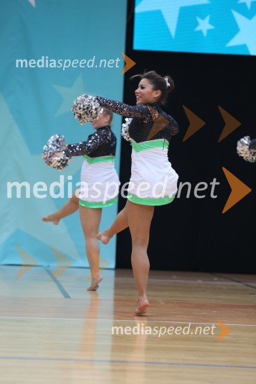 Silver Spirit Dancer