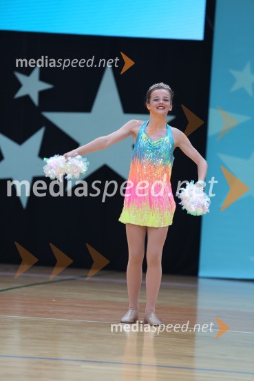 HARTLEPOOL HAWKS, Rennie - Carney