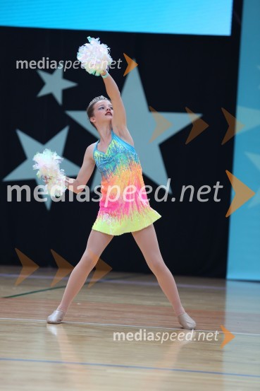 HARTLEPOOL HAWKS, Rennie - Carney