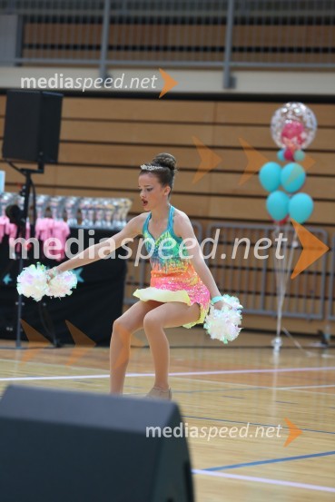 HARTLEPOOL HAWKS, Rennie - Carney