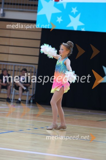 HARTLEPOOL HAWKS, Rennie - Carney