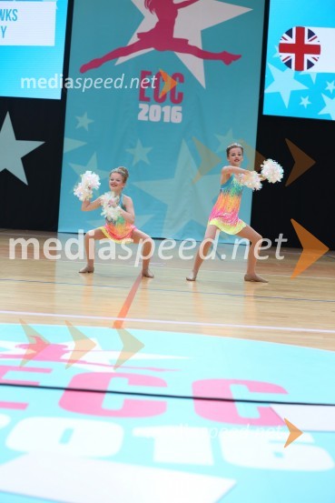 HARTLEPOOL HAWKS, Rennie - Carney