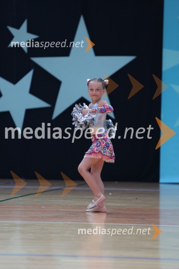 MAVRICA, Zbišajnik - Rojc