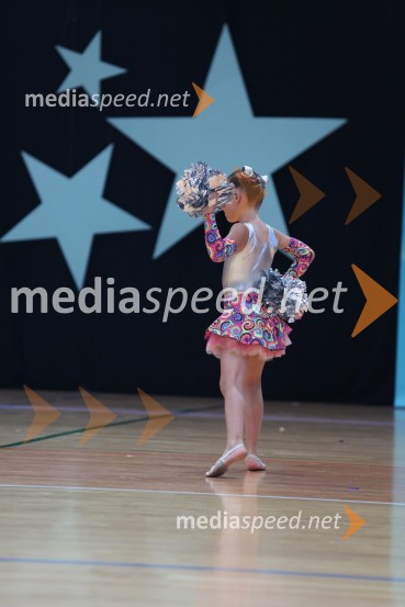 MAVRICA, Zbišajnik - Rojc