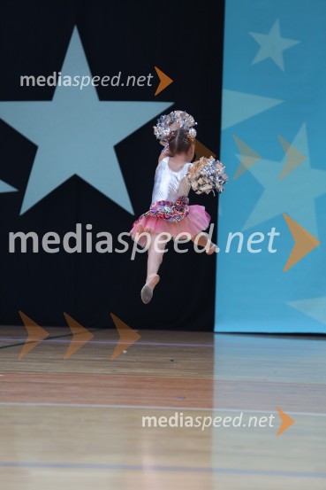 MAVRICA, Zbišajnik - Rojc