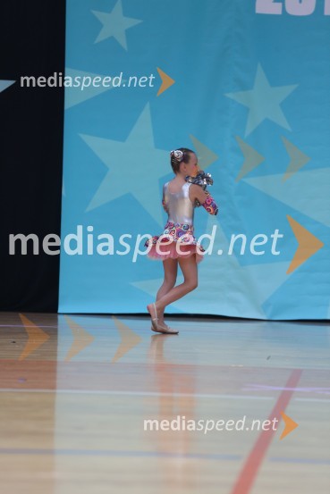 MAVRICA, Zbišajnik - Rojc