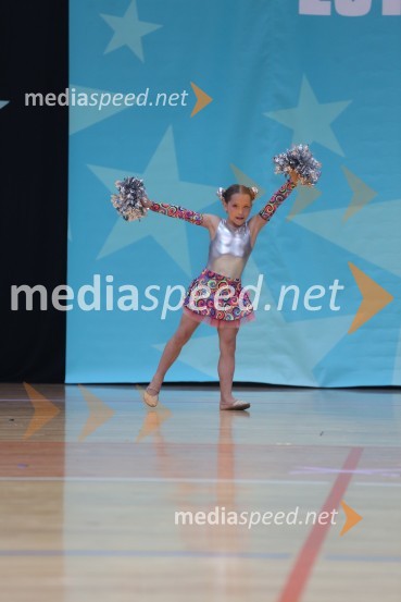 MAVRICA, Zbišajnik - Rojc