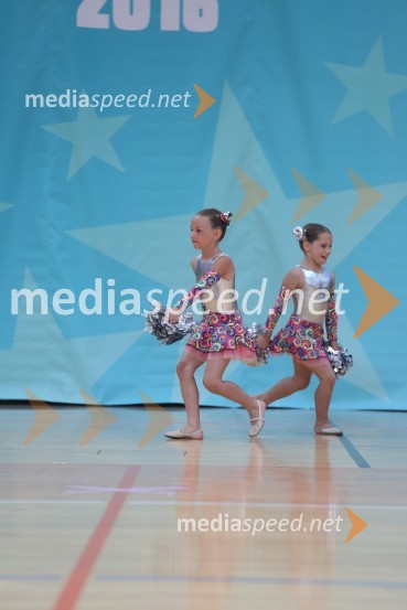 MAVRICA, Zbišajnik - Rojc