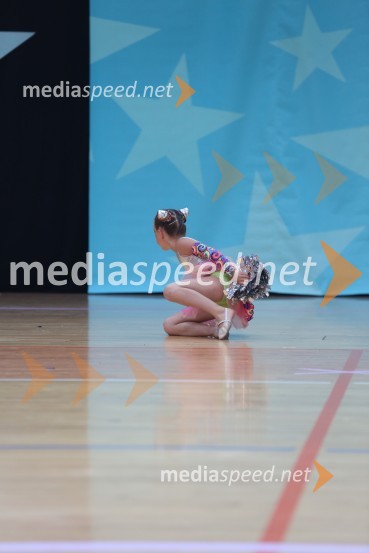 MAVRICA, Zbišajnik - Rojc