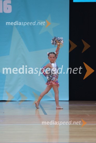 MAVRICA, Zbišajnik - Rojc