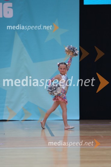 MAVRICA, Zbišajnik - Rojc