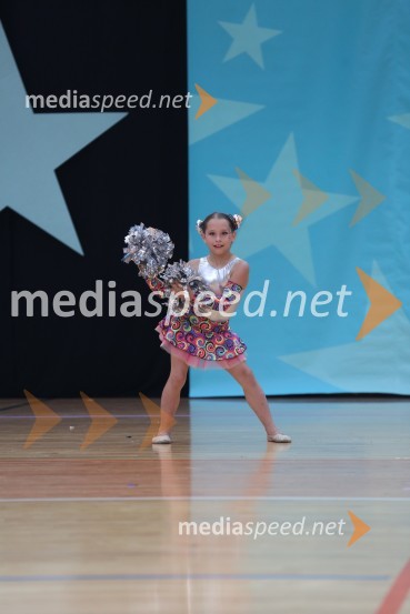 MAVRICA, Zbišajnik - Rojc