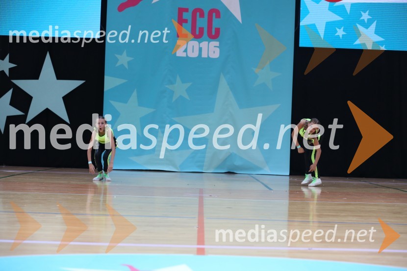 GOLD ZAJČICE, Pavlovič - Palčič