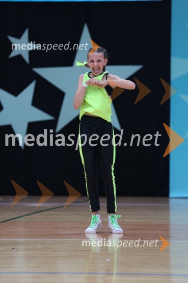 GOLD ZAJČICE, Pavlovič - Palčič