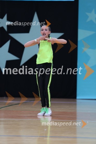 GOLD ZAJČICE, Pavlovič - Palčič