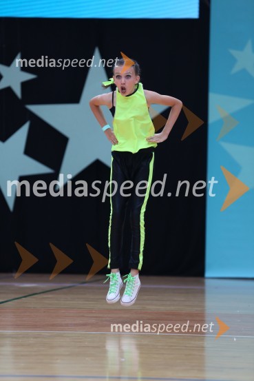 GOLD ZAJČICE, Pavlovič - Palčič