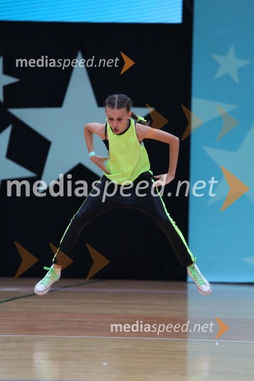 GOLD ZAJČICE, Pavlovič - Palčič