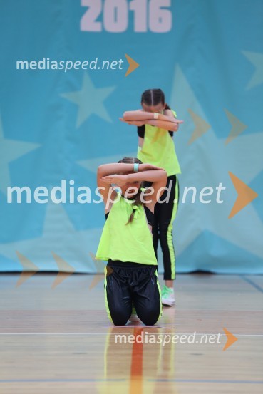 GOLD ZAJČICE, Pavlovič - Palčič